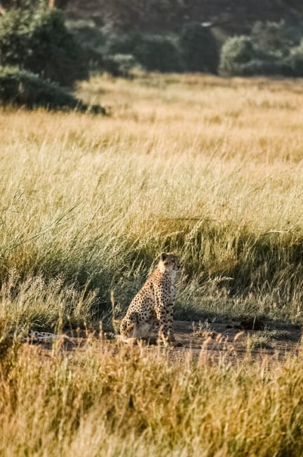 perché andare in Kenya