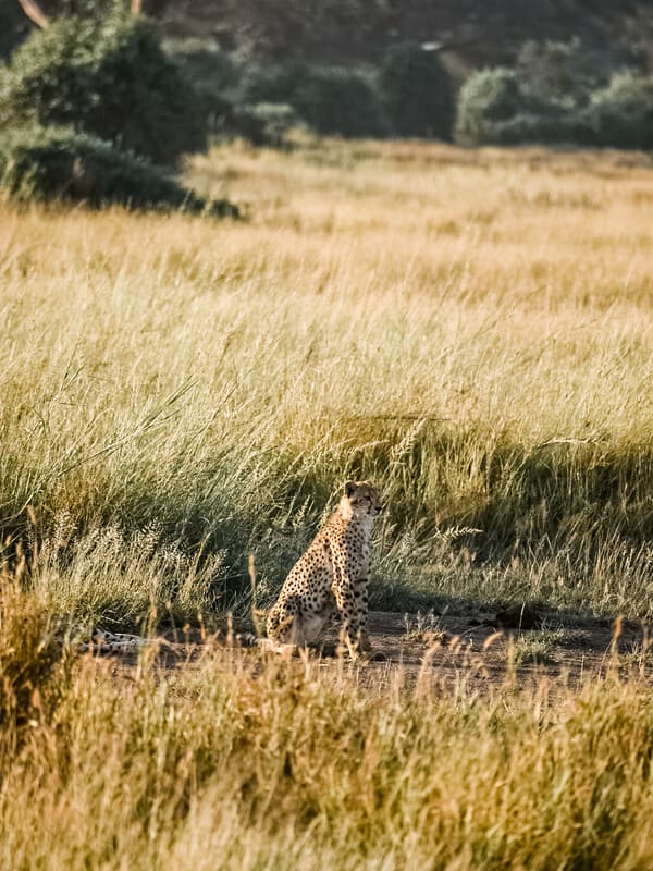 perché andare in Kenya